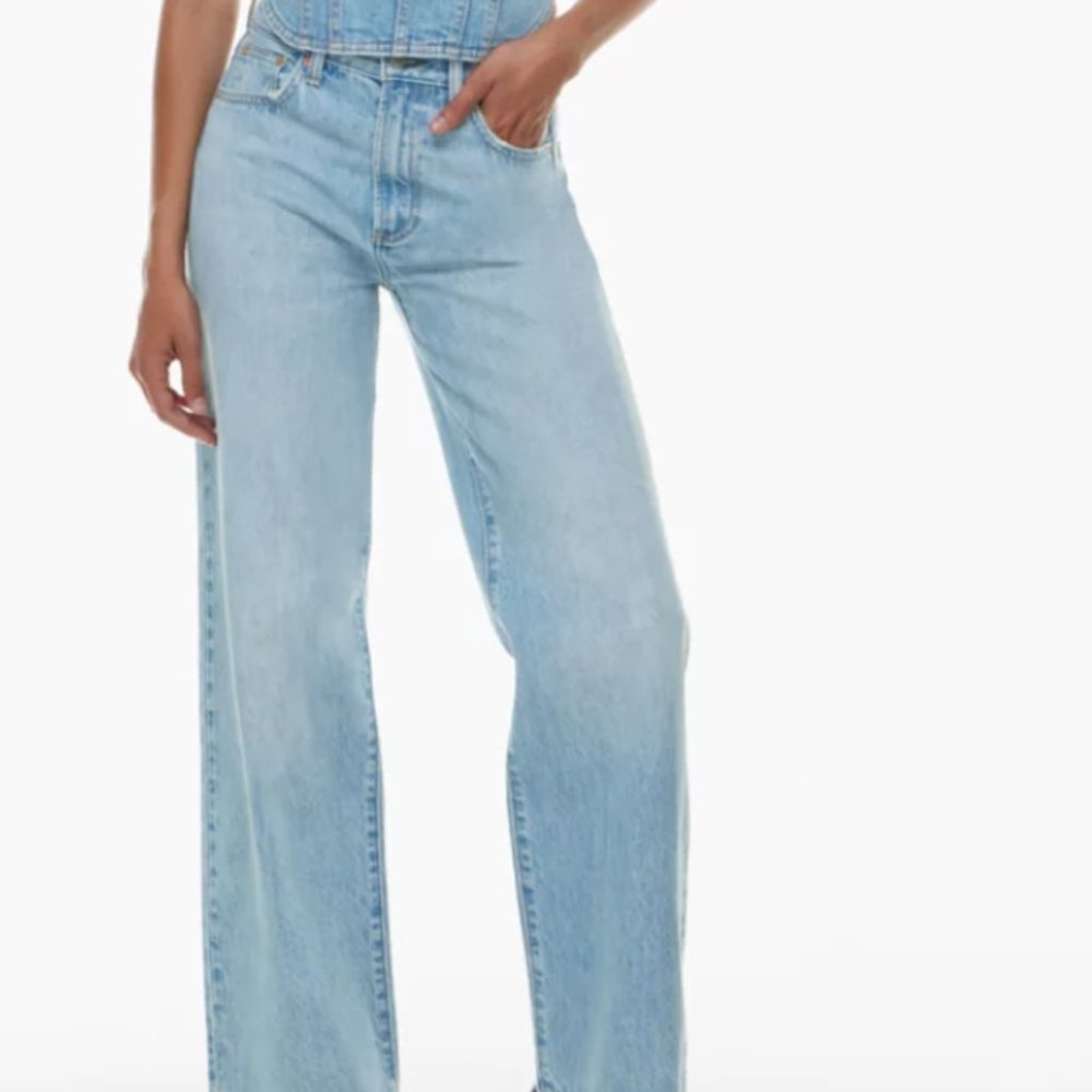Aritzia Denim Forum Farrah High Rise Wide Leg Jean